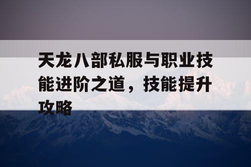 天龙八部私服与职业技能进阶之道，技能提升攻略