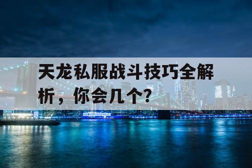 天龙私服战斗技巧全解析，你会几个？