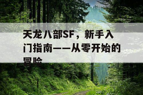 天龙八部SF，新手入门指南——从零开始的冒险