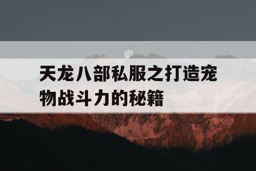 天龙八部私服之打造宠物战斗力的秘籍