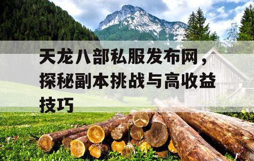 天龙八部私服发布网，探秘副本挑战与高收益技巧