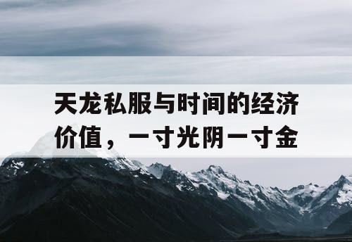 天龙私服与时间的经济价值，一寸光阴一寸金