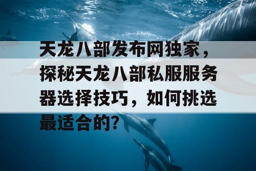 天龙八部发布网独家，探秘天龙八部私服服务器选择技巧，如何挑选最适合的？