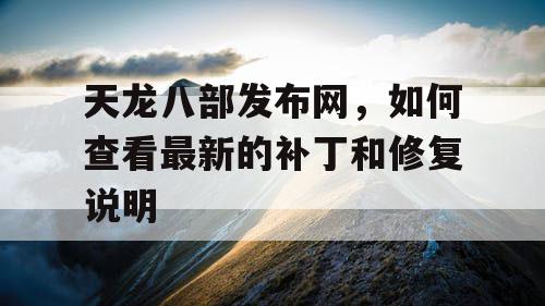 天龙八部发布网，如何查看最新的补丁和修复说明