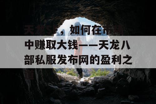 天龙SF，如何在市场中赚取大钱——天龙八部私服发布网的盈利之道