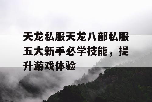 天龙私服天龙八部私服五大新手必学技能，提升游戏体验