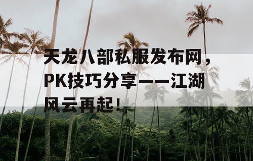 天龙八部私服发布网，PK技巧分享——江湖风云再起！