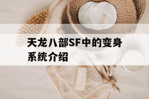 天龙八部SF中的变身系统介绍