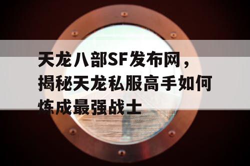 天龙八部SF发布网，揭秘天龙私服高手如何炼成最强战士