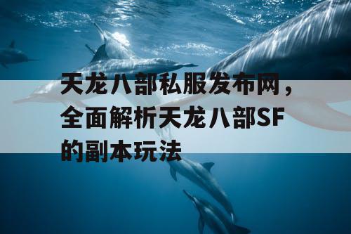 天龙八部私服发布网，全面解析天龙八部SF的副本玩法