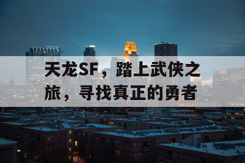 天龙SF，踏上武侠之旅，寻找真正的勇者