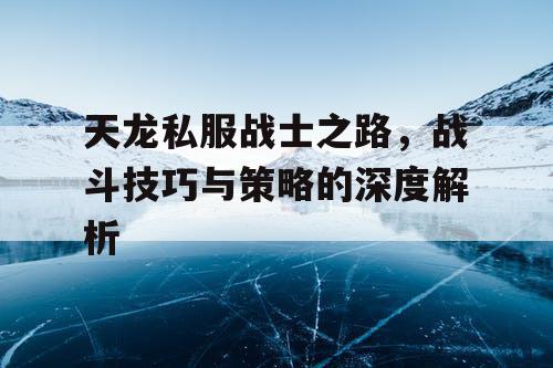 《天龙八部手游战士之路》——战斗技巧与战略的深度解析