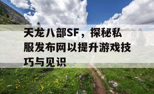 天龙八部SF，探秘私服发布网以提升游戏技巧与见识