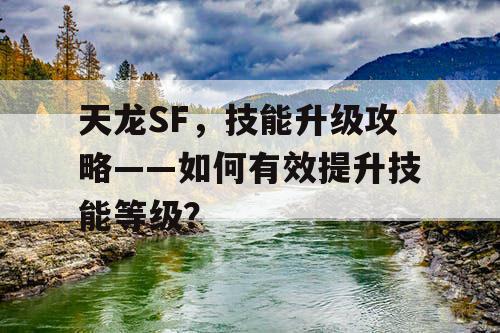 天龙SF，技能升级攻略——如何有效提升技能等级？