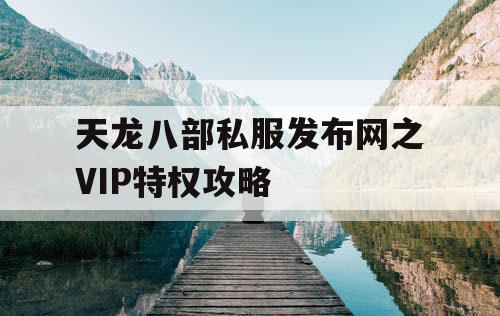 天龙八部私服发布网之VIP特权攻略