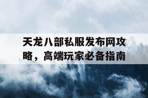 天龙八部私服发布网攻略，高端玩家必备指南