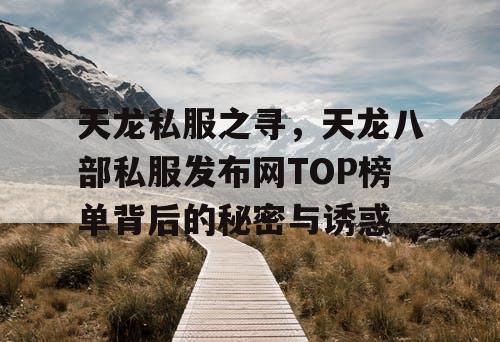 天龙私服之寻，天龙八部私服发布网TOP榜单背后的秘密与诱惑