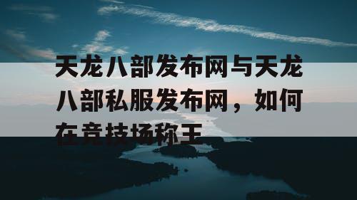 天龙八部发布网与天龙八部私服发布网，如何在竞技场称王