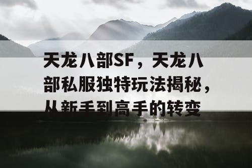 天龙八部SF，天龙八部私服独特玩法揭秘，从新手到高手的转变