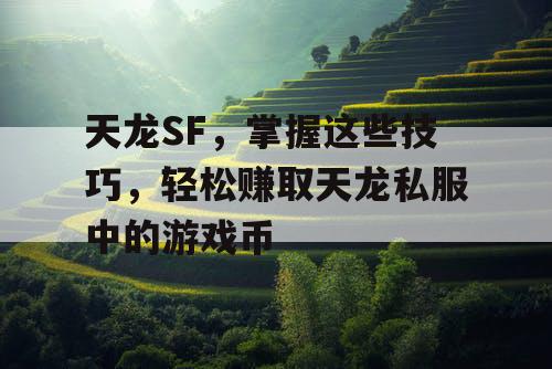 天龙SF，掌握这些技巧，轻松赚取天龙私服中的游戏币