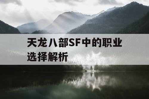 天龙八部SF中的职业选择解析