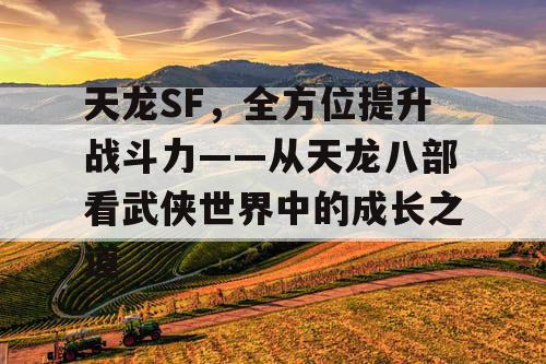 天龙SF，全方位提升战斗力——从天龙八部看武侠世界中的成长之道