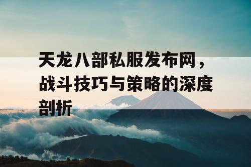 天龙八部私服发布网，战斗技巧与策略的深度剖析