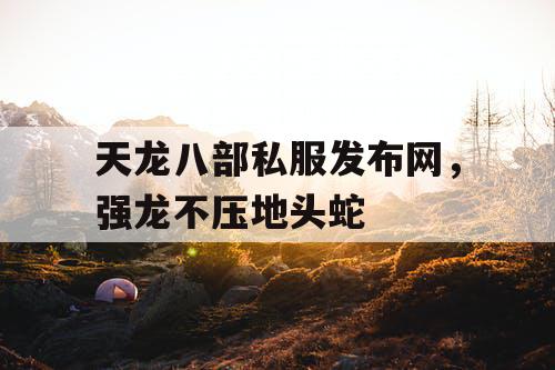 天龙八部私服发布网，强龙不压地头蛇