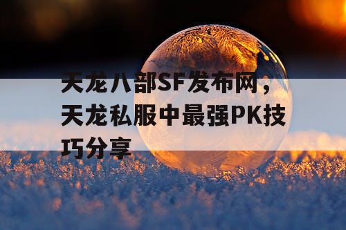 天龙八部SF发布网，天龙私服中最强PK技巧分享