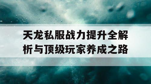 天龙私服战力提升全解析与顶级玩家养成之路