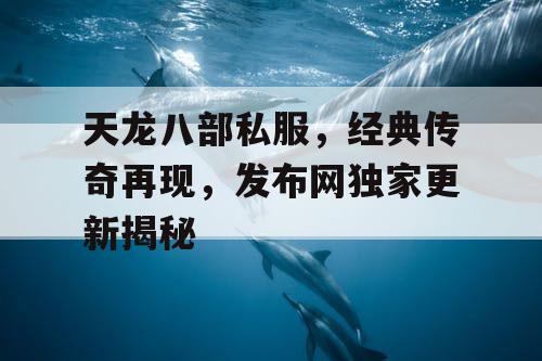 天龙八部私服，经典传奇再现，发布网独家更新揭秘