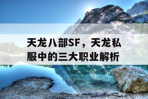 天龙八部SF，天龙私服中的三大职业解析