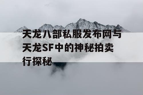 天龙八部私服发布网与天龙SF中的神秘拍卖行探秘