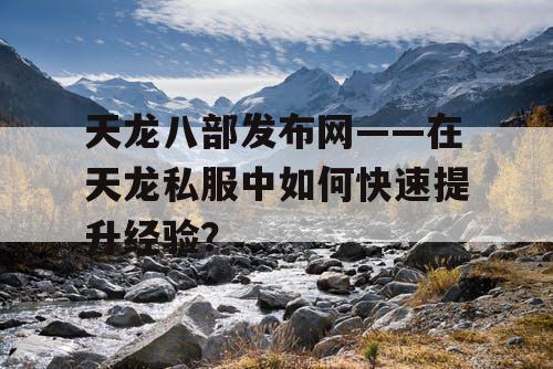 天龙八部发布网——在天龙私服中如何快速提升经验？