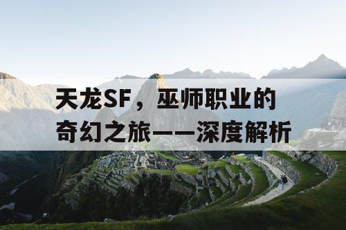 天龙SF，巫师职业的奇幻之旅——深度解析