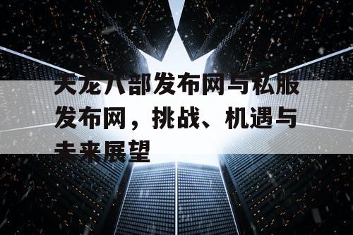 《天龙八部》发布网与私服发布网，挑战、机遇与未来展望