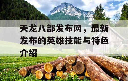 天龙八部发布网，最新发布的英雄技能与特色介绍