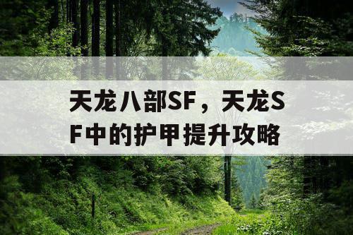 天龙八部SF，天龙SF中的护甲提升攻略