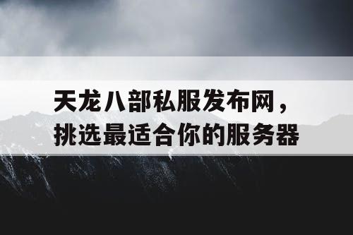 天龙八部私服发布网，挑选最适合你的服务器