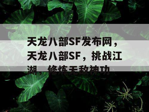 天龙八部SF发布网，天龙八部SF，挑战江湖，修炼无敌神功