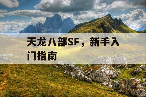 天龙八部SF，新手入门指南