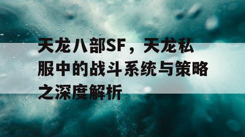 天龙八部SF，天龙私服中的战斗系统与策略之深度解析