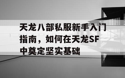 天龙八部私服新手入门指南，如何在天龙SF中奠定坚实基础