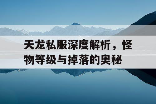 天龙私服深度解析，怪物等级与掉落的奥秘