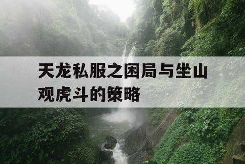 天龙私服之困局与坐山观虎斗的策略