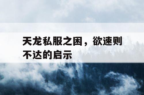 天龙私服之困，欲速则不达的启示