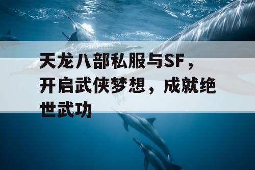 天龙八部私服与SF，开启武侠梦想，成就绝世武功