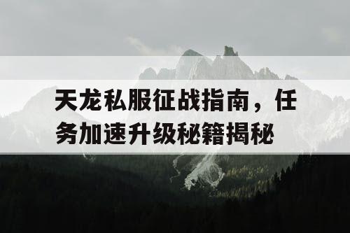 天龙私服征战指南，任务加速升级秘籍揭秘