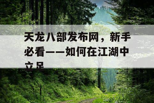 天龙八部发布网，新手必看——如何在江湖中立足