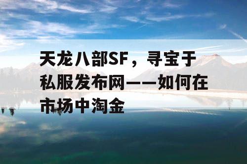 天龙八部SF，寻宝于私服发布网——如何在市场中淘金